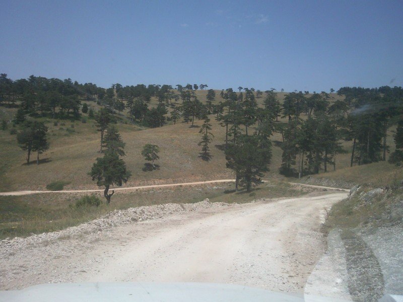 FotoÃƒÂƒÃ‚Â„ÃƒÂ‚Ã‚ÂŸraf-0242.jpg