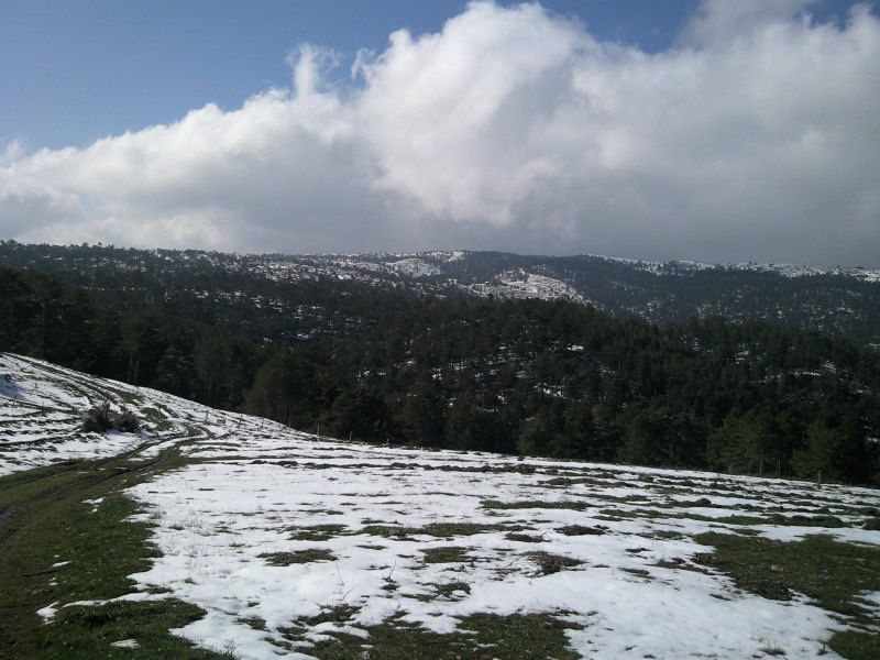 FotoÃƒÂƒÃ‚Â„ÃƒÂ‚Ã‚ÂŸraf-0245.jpg