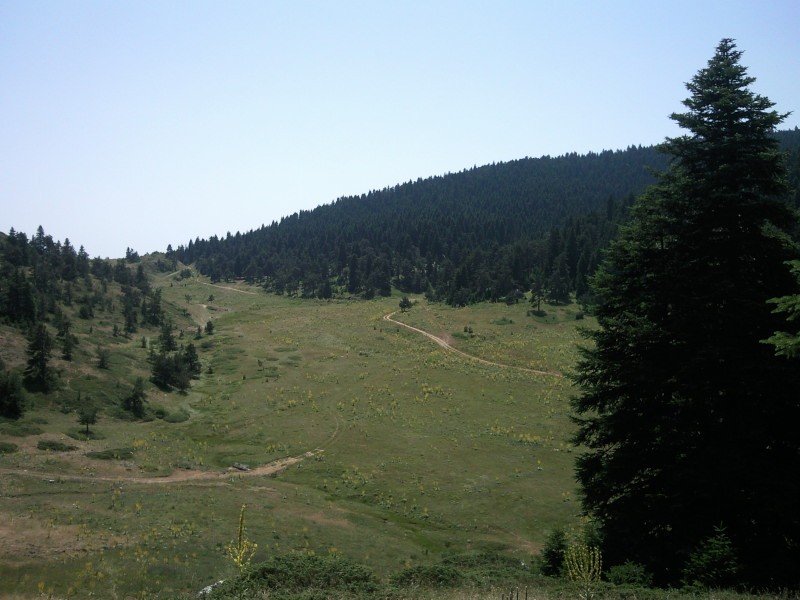 FotoÃƒÂƒÃ‚Â„ÃƒÂ‚Ã‚ÂŸraf-0245.jpg