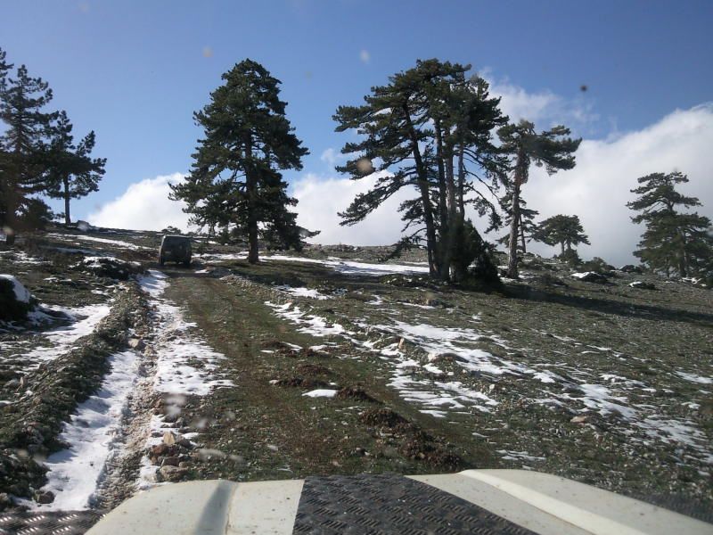 FotoÃƒÂƒÃ‚Â„ÃƒÂ‚Ã‚ÂŸraf-0246.jpg