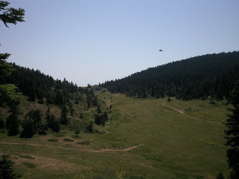 FotoÃƒÂƒÃ‚Â„ÃƒÂ‚Ã‚ÂŸraf-0246.jpg