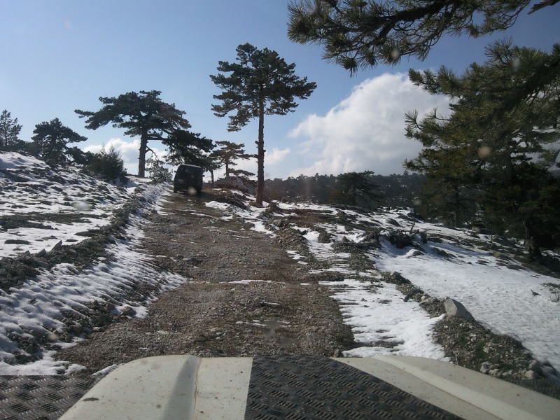 FotoÃƒÂƒÃ‚Â„ÃƒÂ‚Ã‚ÂŸraf-0248.jpg