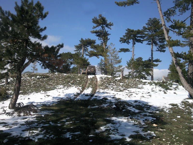 FotoÃƒÂƒÃ‚Â„ÃƒÂ‚Ã‚ÂŸraf-0251.jpg