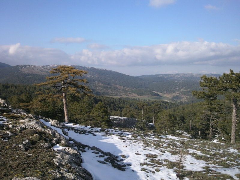FotoÃƒÂƒÃ‚Â„ÃƒÂ‚Ã‚ÂŸraf-0253.jpg