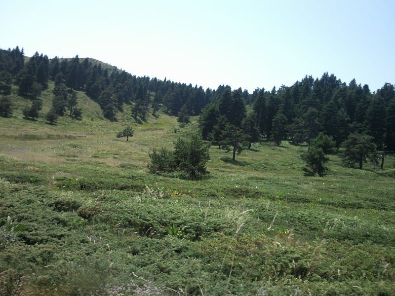 FotoÃƒÂƒÃ‚Â„ÃƒÂ‚Ã‚ÂŸraf-0255.jpg