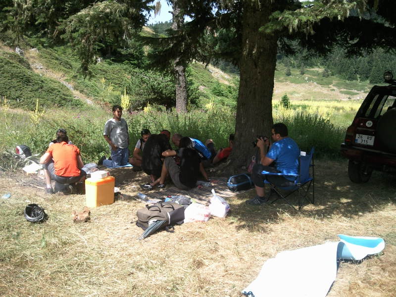 FotoÃƒÂƒÃ‚Â„ÃƒÂ‚Ã‚ÂŸraf-0258.jpg