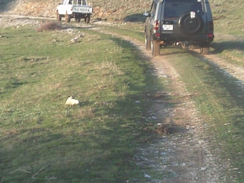 FotoÃƒÂƒÃ‚Â„ÃƒÂ‚Ã‚ÂŸraf-0261.jpg