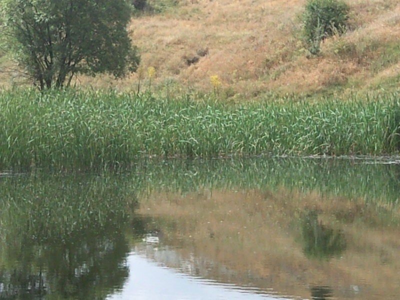 FotoÃƒÂƒÃ‚Â„ÃƒÂ‚Ã‚ÂŸraf-0266.jpg