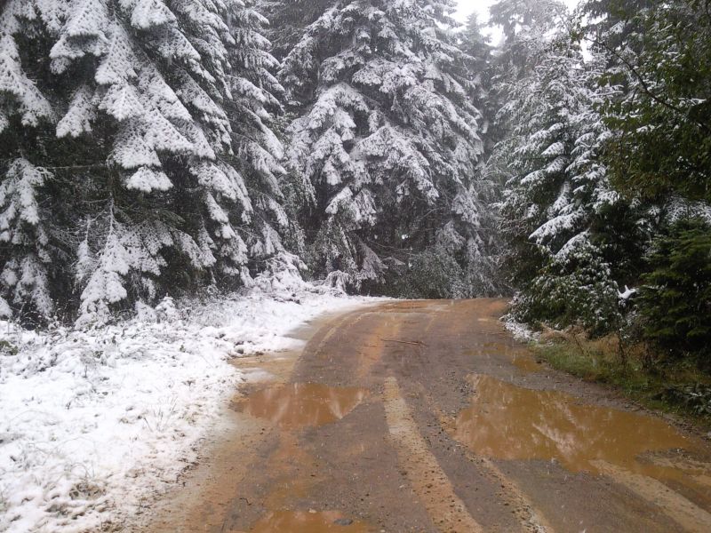 FotoÃƒÂƒÃ‚Â„ÃƒÂ‚Ã‚ÂŸraf0036.jpg