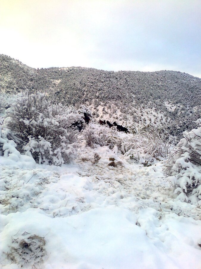 FotoÃƒÂƒÃ‚Â„ÃƒÂ‚Ã‚ÂŸraf0112.jpg