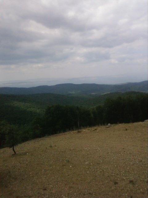 FotoÃƒÂƒÃ‚Â„ÃƒÂ‚Ã‚ÂŸraf0138.jpg