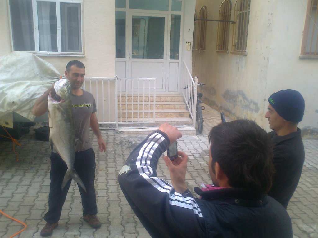FotoÃƒÂƒÃ‚Â„ÃƒÂ‚Ã‚ÂŸraf0142.jpg