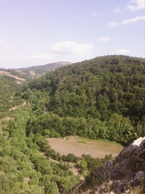 FotoÃƒÂƒÃ‚Â„ÃƒÂ‚Ã‚ÂŸraf0142.jpg