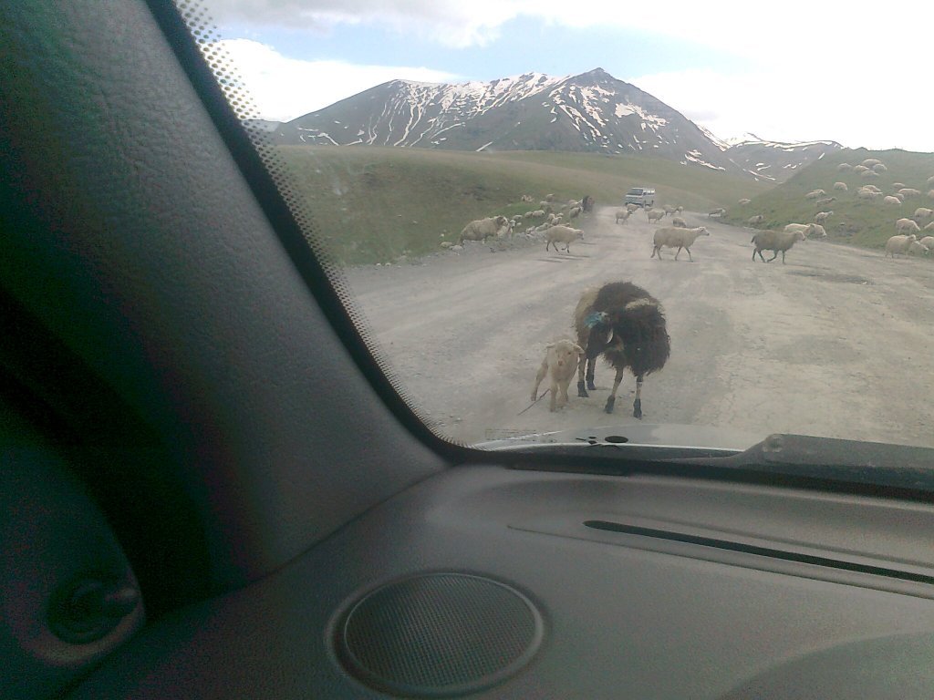 FotoÃƒÂƒÃ‚Â„ÃƒÂ‚Ã‚ÂŸraf0187.jpg