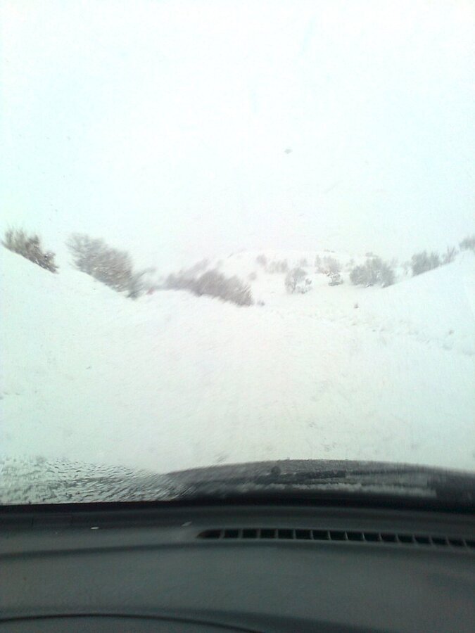 FotoÃƒÂƒÃ‚Â„ÃƒÂ‚Ã‚ÂŸraf0191.jpg