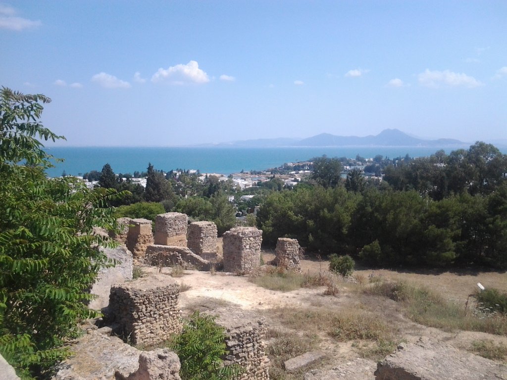 FotoÃƒÂƒÃ‚Â„ÃƒÂ‚Ã‚ÂŸraf0233.jpg