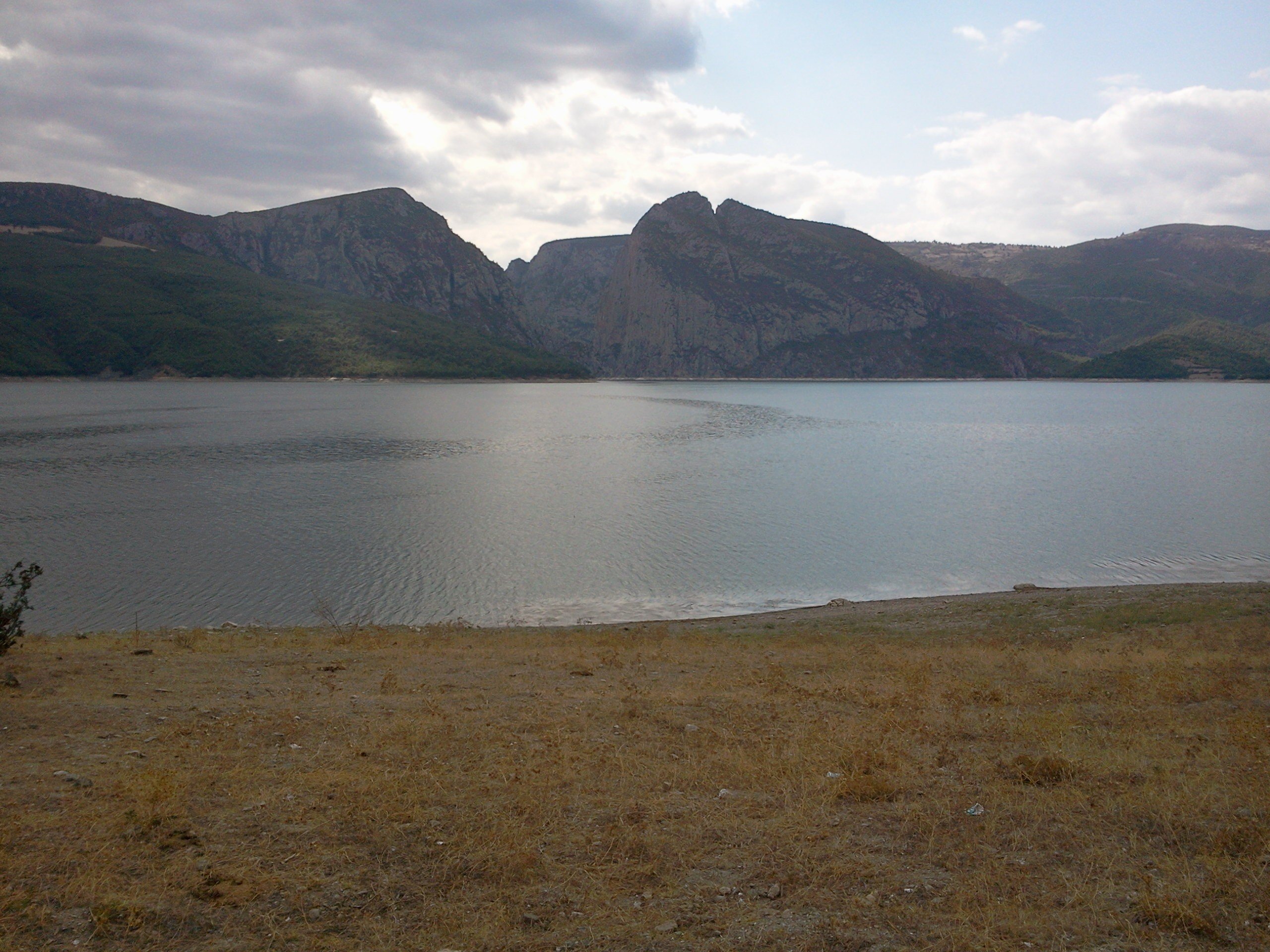 FotoÃƒÂƒÃ‚Â„ÃƒÂ‚Ã‚ÂŸraf0238.jpg