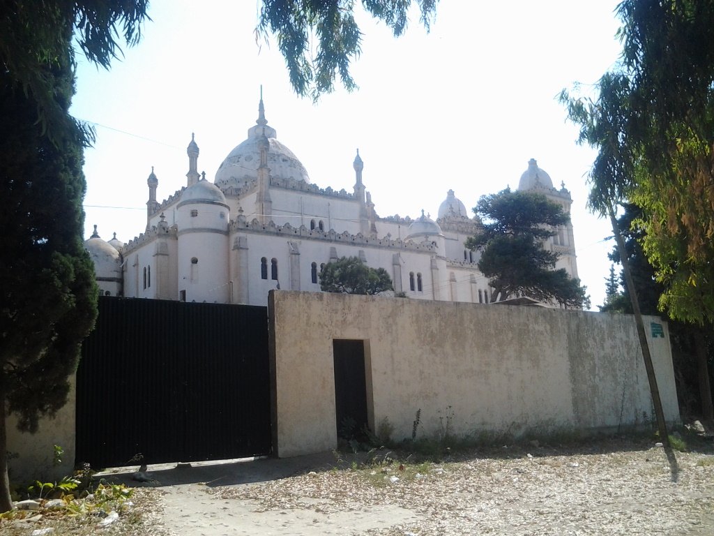 FotoÃƒÂƒÃ‚Â„ÃƒÂ‚Ã‚ÂŸraf0260.jpg
