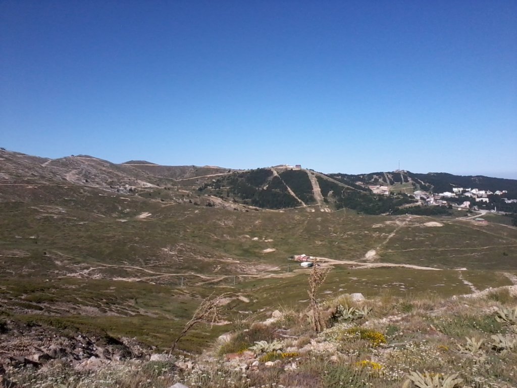 FotoÃƒÂƒÃ‚Â„ÃƒÂ‚Ã‚ÂŸraf0285.jpg