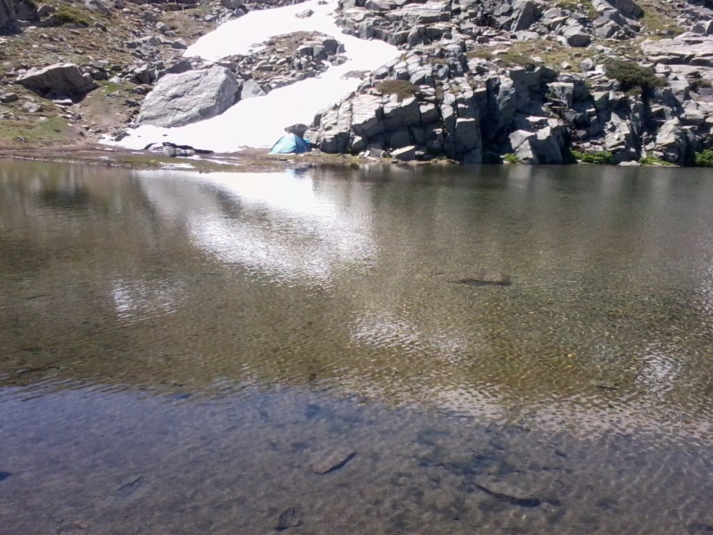FotoÃƒÂƒÃ‚Â„ÃƒÂ‚Ã‚ÂŸraf0287.jpg