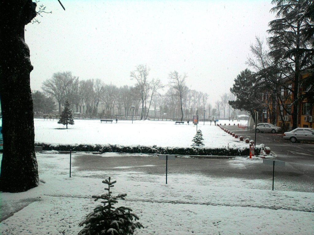 FotoÃƒÂƒÃ‚Â„ÃƒÂ‚Ã‚ÂŸraf0387.jpg