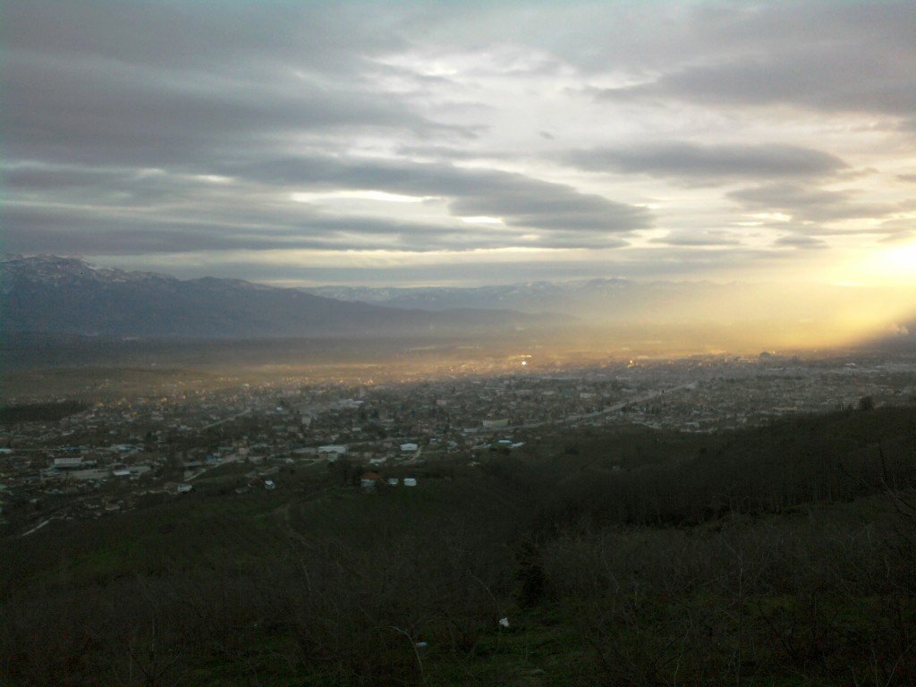 FotoÃƒÂƒÃ‚Â„ÃƒÂ‚Ã‚ÂŸraf0690.jpg