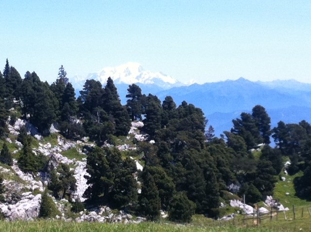 fotoÃƒÂƒÃ‚Â„ÃƒÂ‚Ã‚ÂŸraf16.JPG