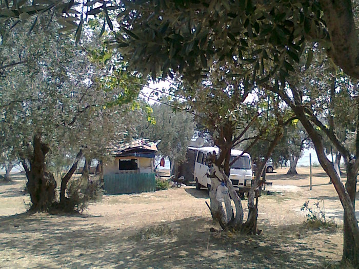 fotoÃƒÂƒÃ‚Â„ÃƒÂ‚Ã‚ÂŸraf1825.jpg