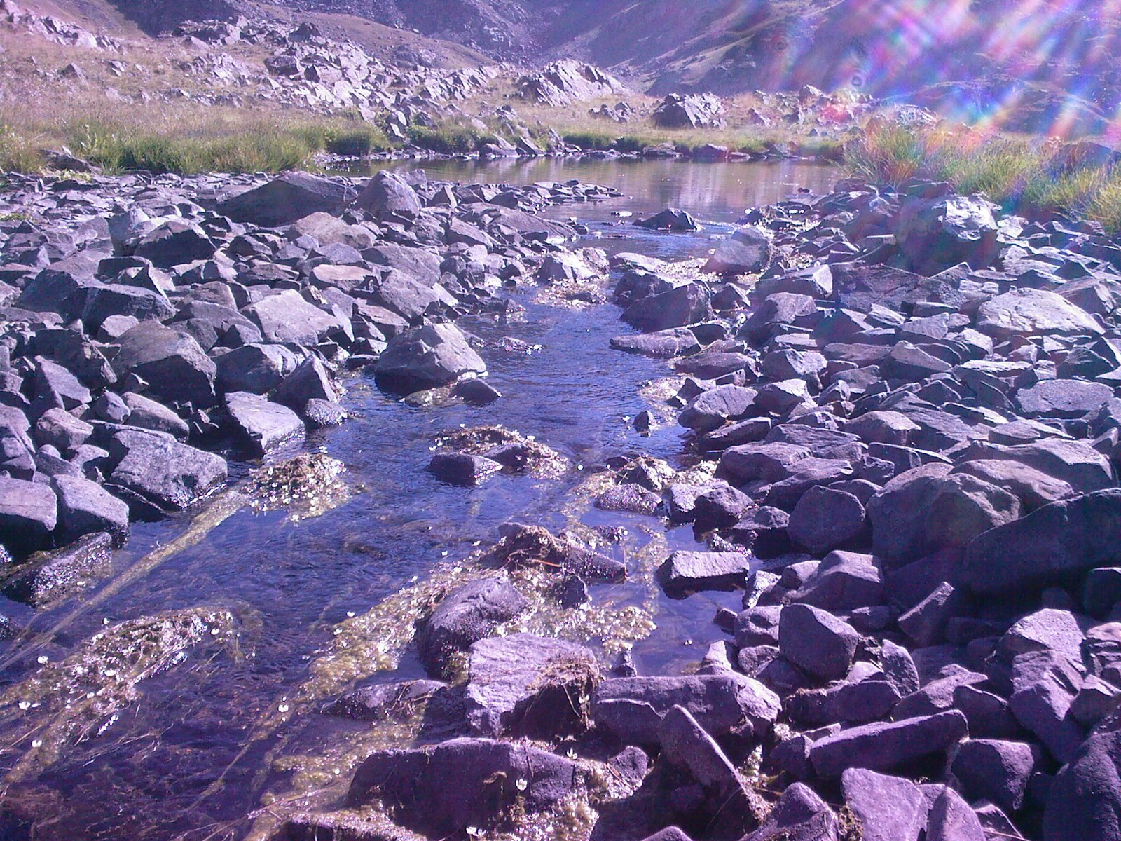 FotoÃƒÂƒÃ‚Â„ÃƒÂ‚Ã‚ÂŸrpaf-0001.jpg