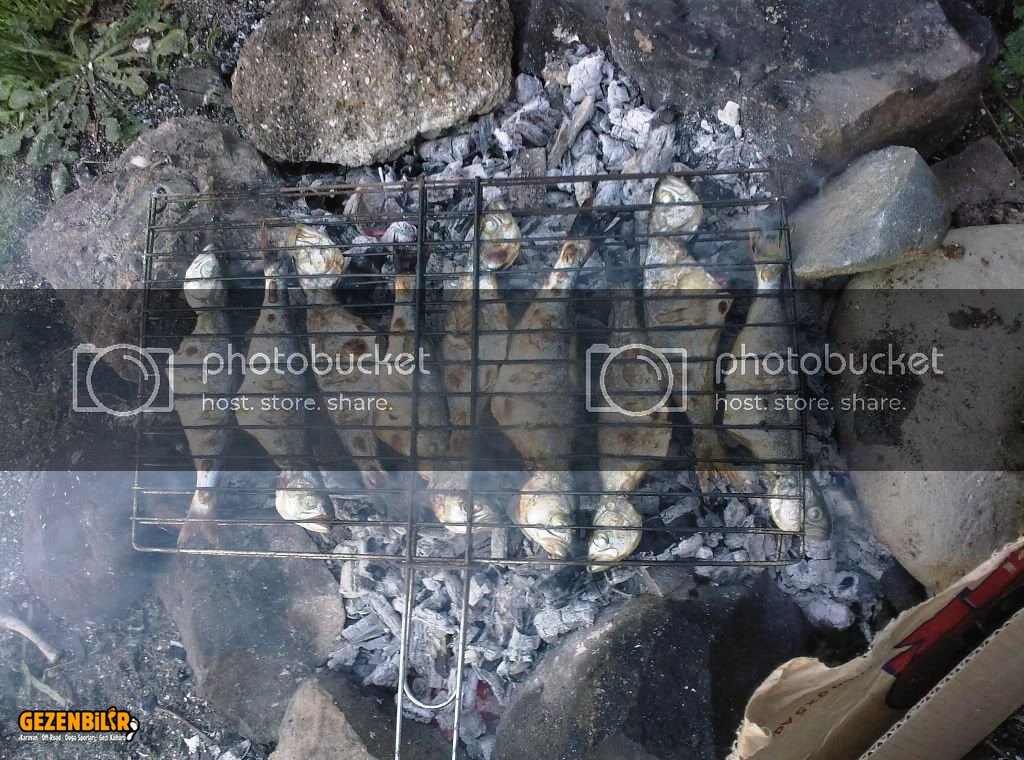 Fotoraf094.jpg