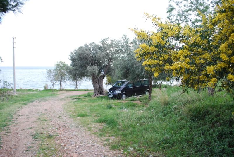 foturaf 1.jpg