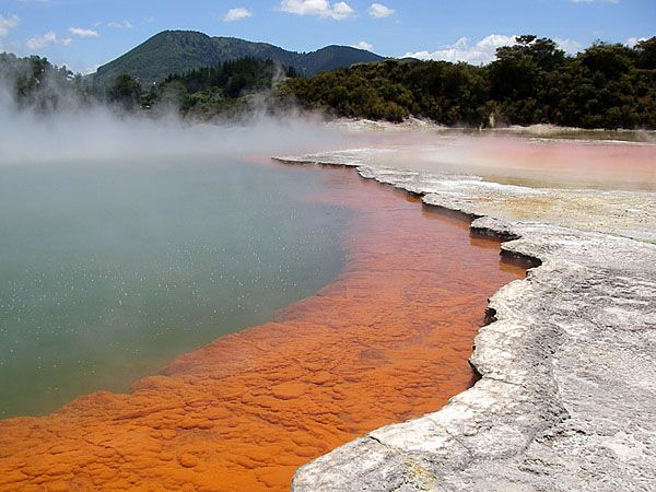 G 00036 Champagne Pool Wai-O-Tapu Thermal Rotorua-New-Zealand.jpg