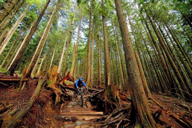 G 00047 Canada Vancouver-mountain-biking-andy-c.jpg