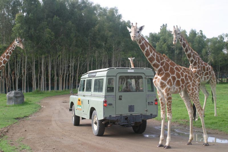 G 00048 RV naturaly park.jpg