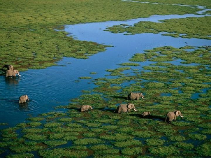 G 00123 Balloon tour Amboseli National Reserve Kenya.jpg