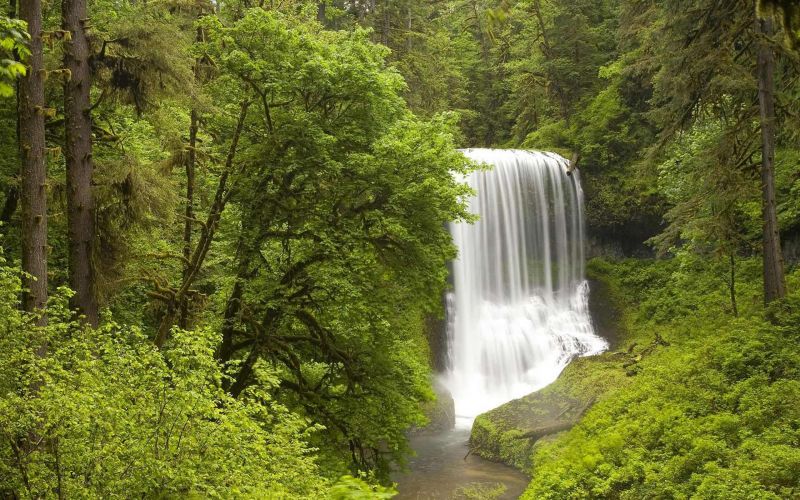 G 00133 Silver Falls State Park Oregon US.jpg