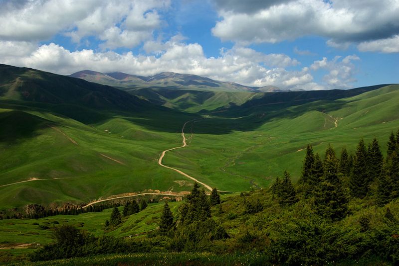 G 00183 Stavropol- Landscape RUSSIA 3.jpg