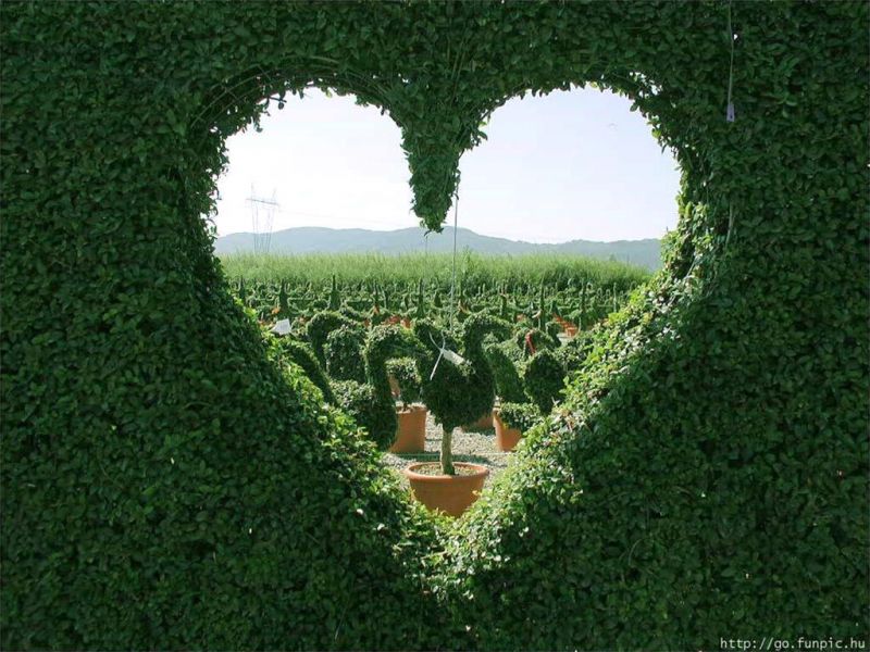 G 00197 FEBRUARY 14 - 2.jpg