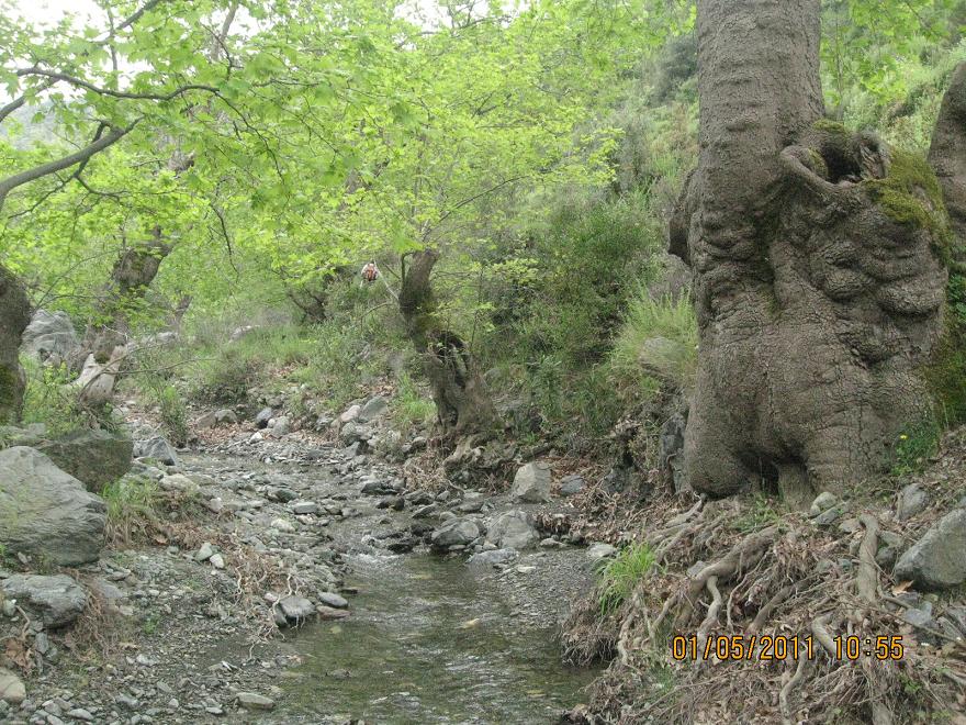 G.BahÃƒÂƒÃ‚ÂƒÃƒÂ‚Ã‚Â§e - KavacÃƒÂƒÃ‚Â„ÃƒÂ‚Ã‚Â±k Dere ( 01 MayÃƒÂƒÃ‚Â„ÃƒÂ‚Ã‚Â±s 2011) 008.jpg