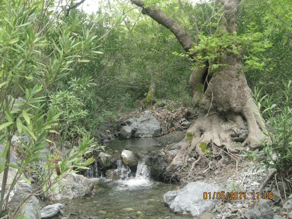 G.BahÃƒÂƒÃ‚ÂƒÃƒÂ‚Ã‚Â§e - KavacÃƒÂƒÃ‚Â„ÃƒÂ‚Ã‚Â±k Dere ( 01 MayÃƒÂƒÃ‚Â„ÃƒÂ‚Ã‚Â±s 2011) 009.jpg