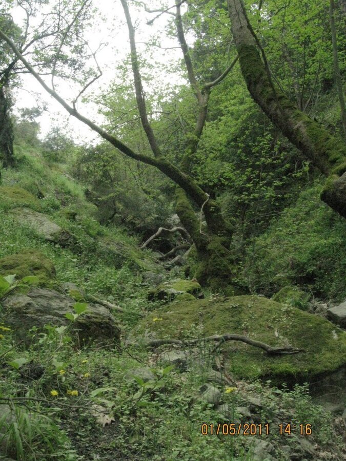 G.BahÃƒÂƒÃ‚ÂƒÃƒÂ‚Ã‚Â§e - KavacÃƒÂƒÃ‚Â„ÃƒÂ‚Ã‚Â±k Dere ( 01 MayÃƒÂƒÃ‚Â„ÃƒÂ‚Ã‚Â±s 2011) 013.jpg