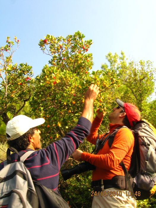 G.BahÃƒÂƒÃ‚ÂƒÃƒÂ‚Ã‚Â§e - N.Dere 25 Ekim 10 124.jpg