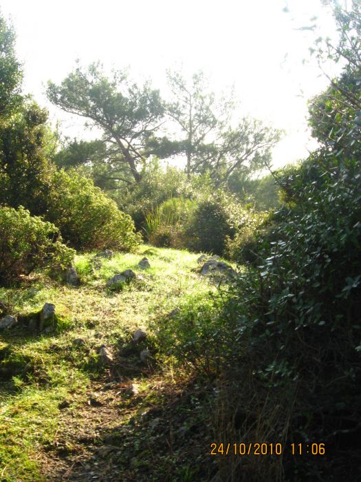 G.BahÃƒÂƒÃ‚ÂƒÃƒÂ‚Ã‚Â§e - N.Dere 25 Ekim 10 127.jpg