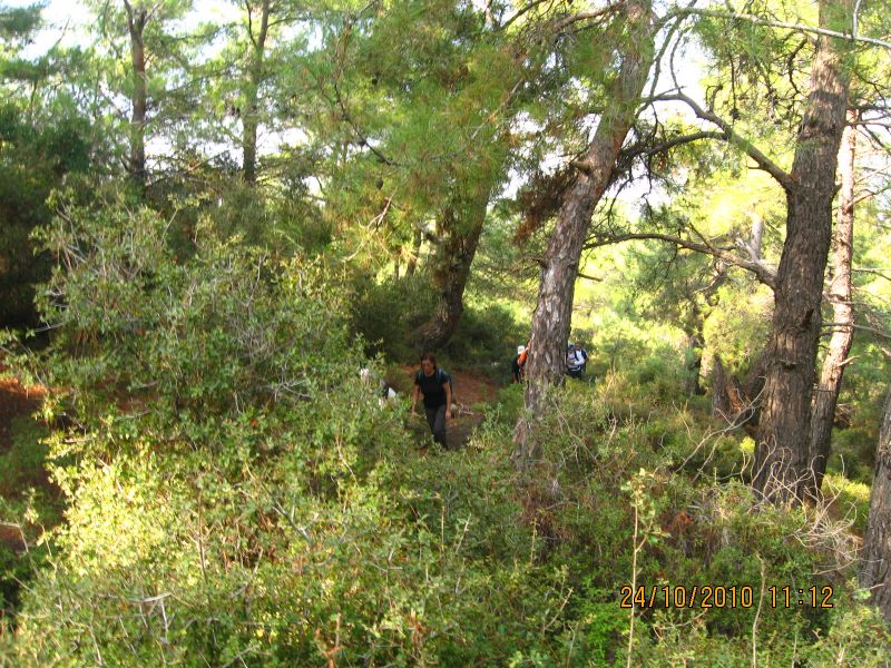 G.BahÃƒÂƒÃ‚ÂƒÃƒÂ‚Ã‚Â§e - N.Dere 25 Ekim 10 128.jpg