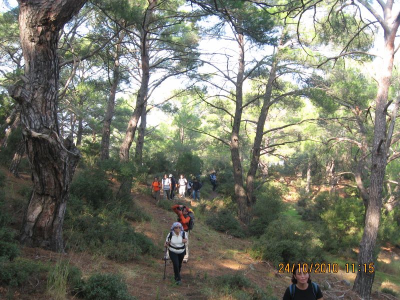 G.BahÃƒÂƒÃ‚ÂƒÃƒÂ‚Ã‚Â§e - N.Dere 25 Ekim 10 129.jpg