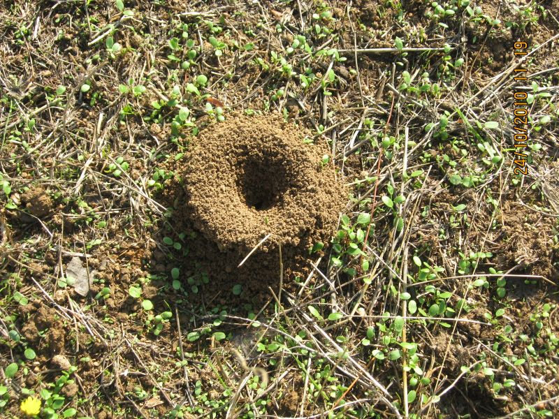 G.BahÃƒÂƒÃ‚ÂƒÃƒÂ‚Ã‚Â§e - N.Dere 25 Ekim 10 130.jpg