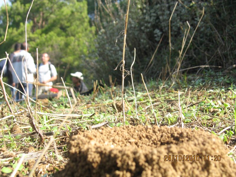 G.BahÃƒÂƒÃ‚ÂƒÃƒÂ‚Ã‚Â§e - N.Dere 25 Ekim 10 132.jpg