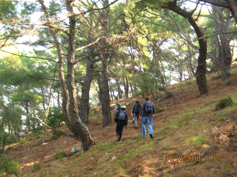 G.BahÃƒÂƒÃ‚ÂƒÃƒÂ‚Ã‚Â§e - N.Dere 25 Ekim 10 135.jpg