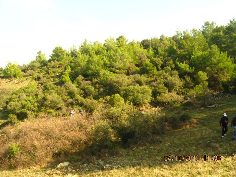 G.BahÃƒÂƒÃ‚ÂƒÃƒÂ‚Ã‚Â§e - N.Dere 25 Ekim 10 138.jpg