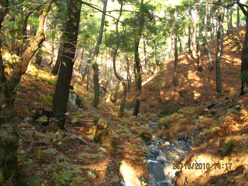 G.BahÃƒÂƒÃ‚ÂƒÃƒÂ‚Ã‚Â§e - N.Dere 25 Ekim 10 153.jpg